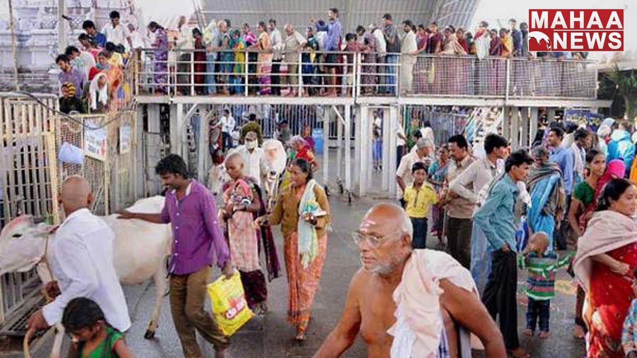Devotees Rush to Vemulawada Temple on the Occasion of Sankranthi | Mahaa News