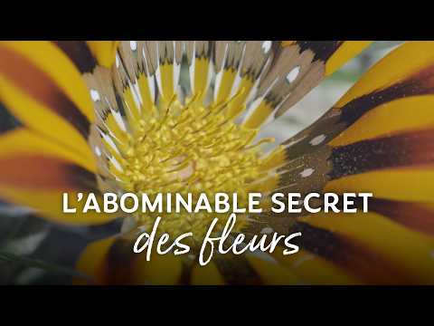 The Abominable Secret of Flowers - SalamanderTV Trailer