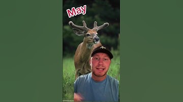 Whitetails antler growth timeline each month
