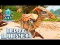 Тут Безумно КРАСИВЫЕ Ночи - Survival Ascended Выживание #2