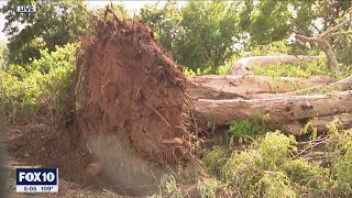 Cleanup efforts continue in Mesa, Gilbert after storm left destruction in its wake