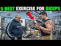 5 best exercise for biceps  how to get bigger biceps