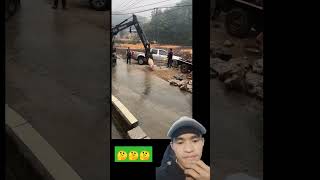 Chinese people use excavators to slaughter pigs #shorts