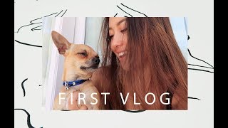 Painting, Modeling, Photography Skepticola