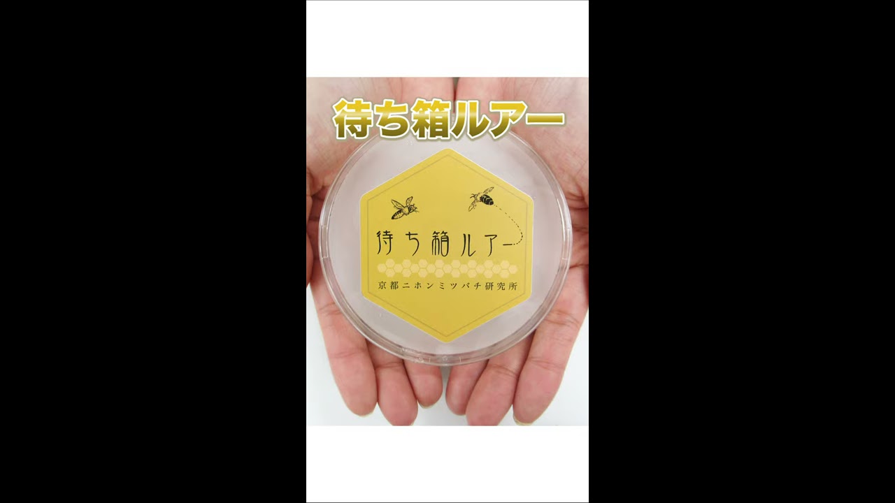 予約】キンリョウヘンの人工合成剤 日本ミツバチ・ルアー 京都