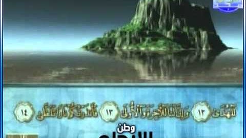 سورة الليل بصوت القارئ / محمود الرفاعي