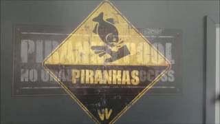 The Piranha Pool at Robin Wood!