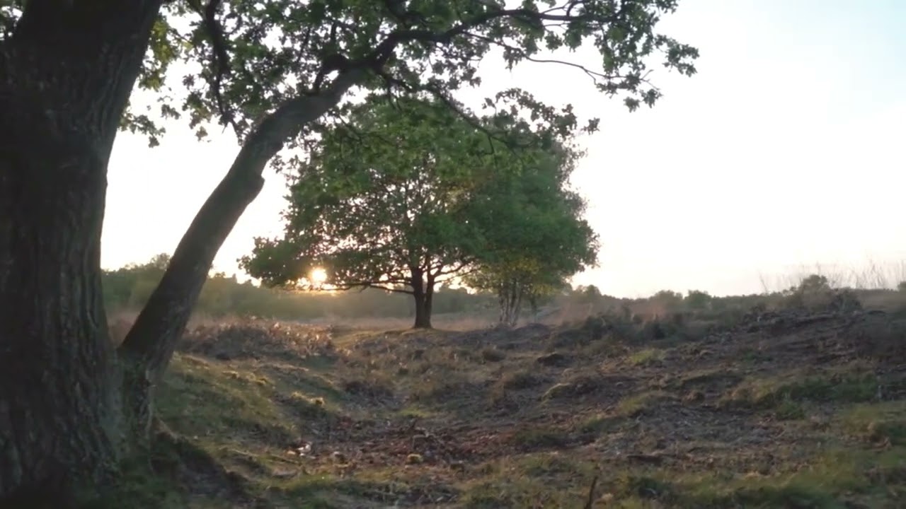窓辺のひかり（午後）