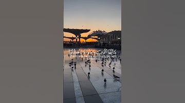 تلاوه خاشعه للشيخ محمد اللحيدان ♥️🎧#محمد_اللحيدان #تلاوة_خاشعة #راحة_نفسية #تلاوات #اكسبلور #quran