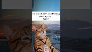 Me at work pretending to focus… #explore #traveldesire #millenniumtravel #travelhacks #funny
