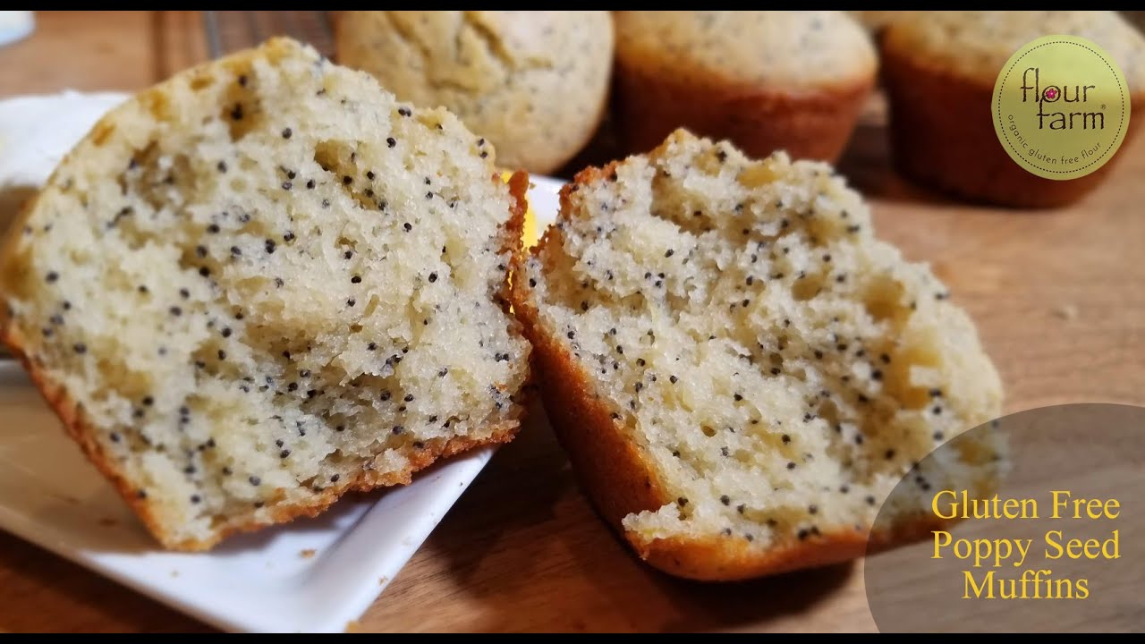 How to Make Gluten Free Poppy Seed Muffins YouTube