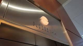 4K 2002 ThyssenKrupp VR Traction Elevator 11 | Summit II | Bellevue WA