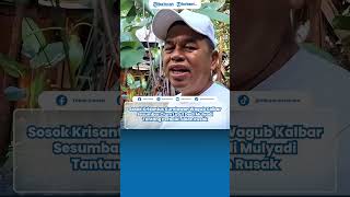 Sosok Krisantus Kurniawan Wagub Kalbar Sesumbar Cium Lutut Dedi Mulyadi Tantang Perbaiki Jalan Rusak