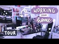 My Workspace Tour | Animator & Illustrator