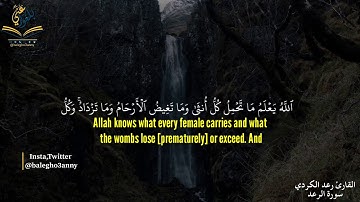 الله يعلم ما تحمل كل أنثى القارئ رعد الكردي من سورة الرعد