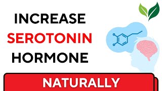 Increase Serotonin Level Naturally!