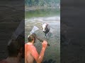 p4935 Mô phỏng những kĩ năng sinh tồn tuyệt vời 2 ,#shorts