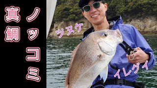 #65【一つテンヤ】ノッコミ真鯛でツヌケました🎣