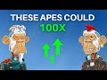 Are these the next 100X Apes?