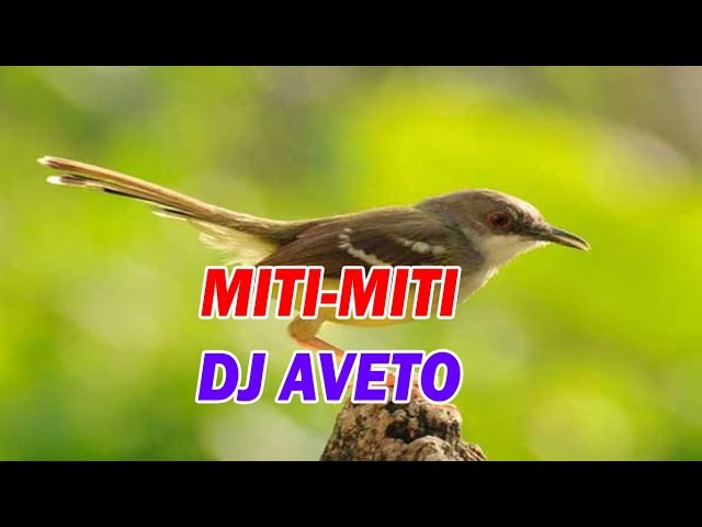 Lagu Nias Miti miti Dj Aveto class=