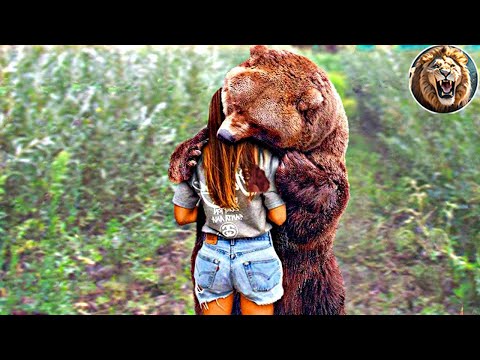 Animals Reunited With Owners After Years!#11| D-Animals Grow Up