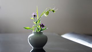 李朝　白磁　青磁　小壺　拡口　蔵出し　１客 李朝 壺 鑑定済み 李朝 白磁小壺（1392–1897 CE） | 入蘆花（ロカニイル）