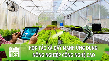 Hợp tác xã đẩy mạnh ứng dụng nông nghiệp công nghệ cao | VTC16