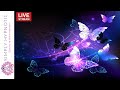✤ Music to Attract Wealth, Money, Luck & Prosperity to Your Life ✤ Infinite abundance
