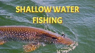 Shallow Water Pike Fishing | Northern Ontario