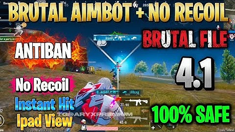BGMI 4.1 AIMBOT OBB | BGMI 4.1 ANTINA | BGMI MAGIC BULLET CONFIG FILE [ 100% Safe No Ban ]
