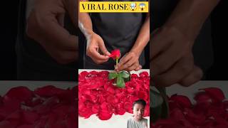 Viral Rose 