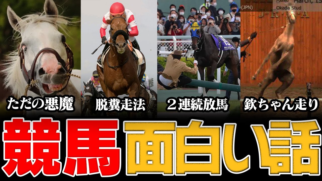 見たら競馬が100倍面白くなる動画！名馬の雑学4