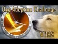 Adoption Challenge Promo - Time Travel