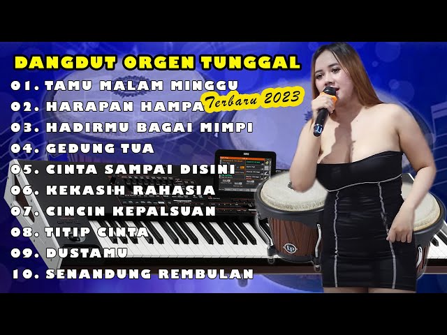 DANGDUT ORGEN TUNGGAL TERBARU 2023 - TAMU MALAM MINGGU class=