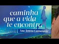 Papo das 9 #811 Caminha que a vida te encontra