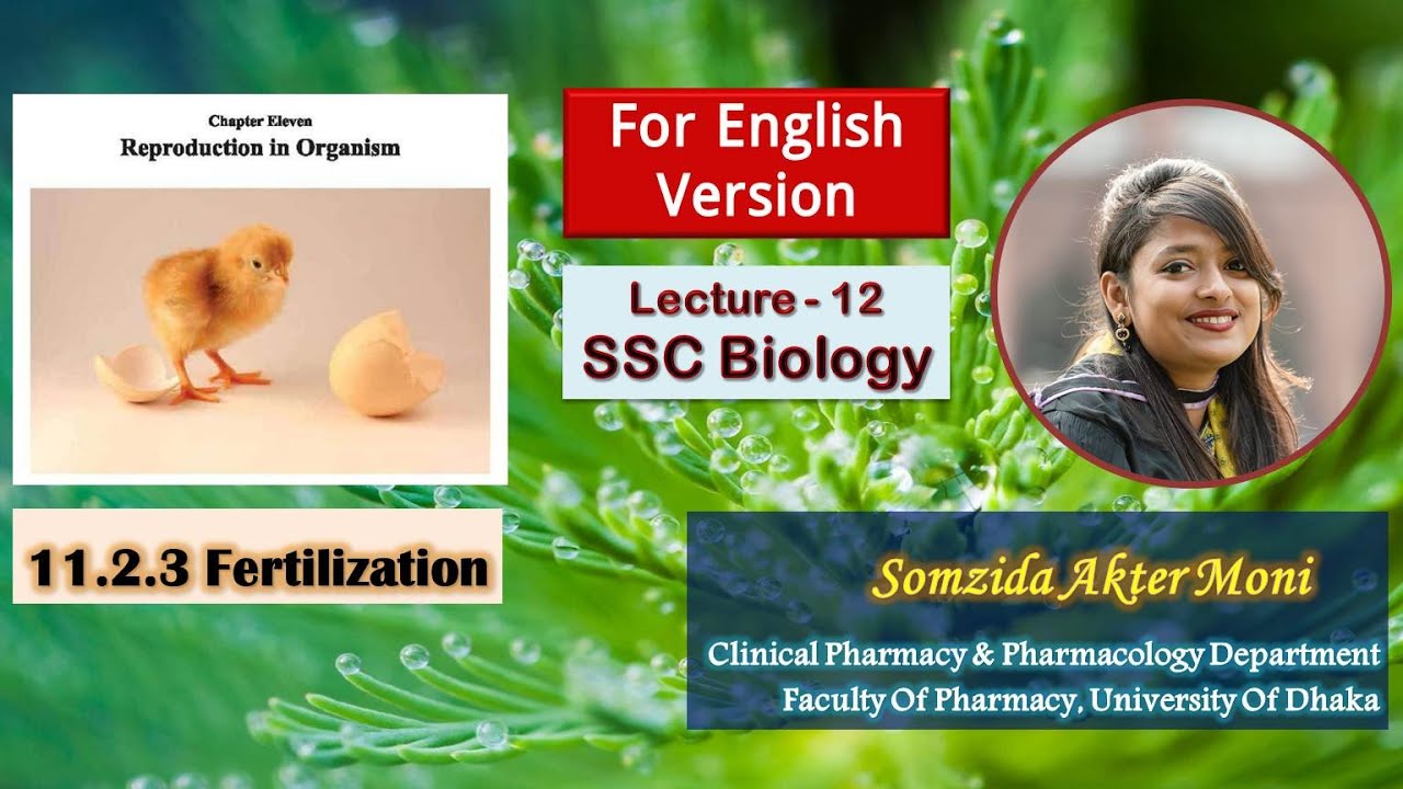 11.2.3 Fertilization Explained | SSC Biology 2026 | English Version | 