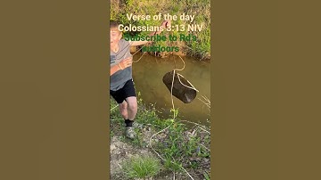 Checking minnow trap