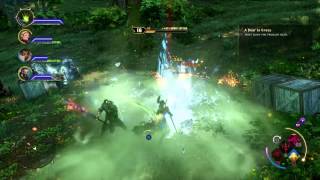 Dragon Age™: Inquisition The Great Bear