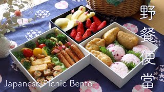 Japanese Picnic Bento/LunchBox/Cherryblossom Bento