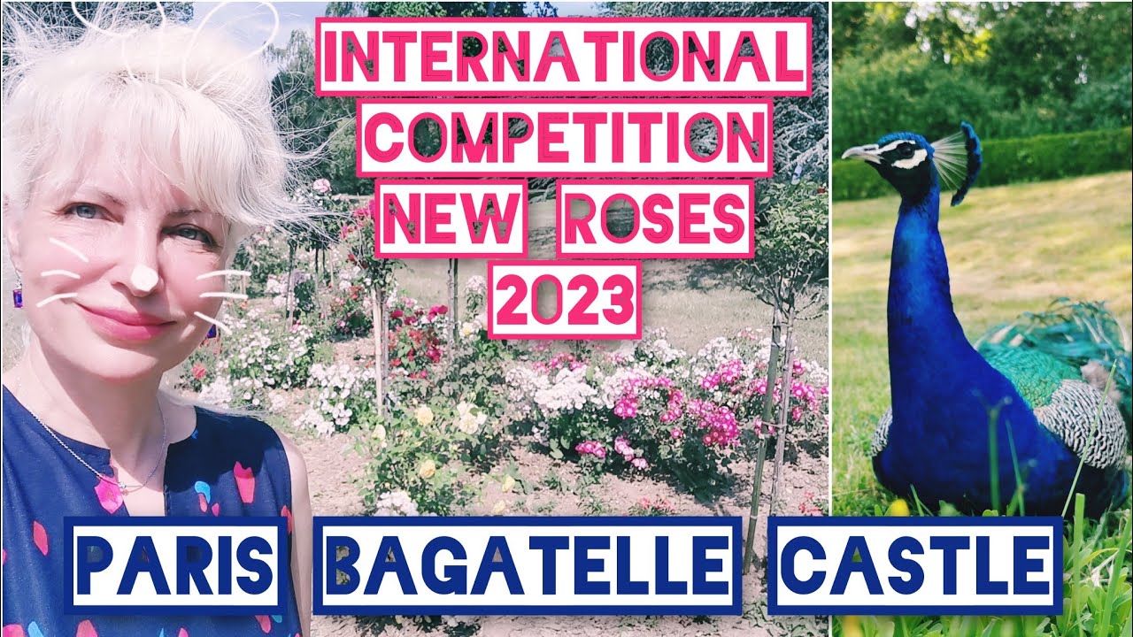 Paris Bagatelle Castle Parc Roseraie International New Roses ...
