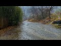비오는 산책길 폭우와 함께 불면증 완화, 빠른 잠, 스트레스 안녕, rain sound ASMR