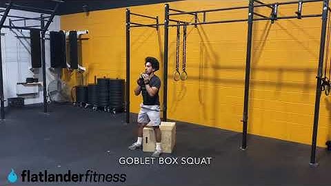 Goblet Box Squat Demo