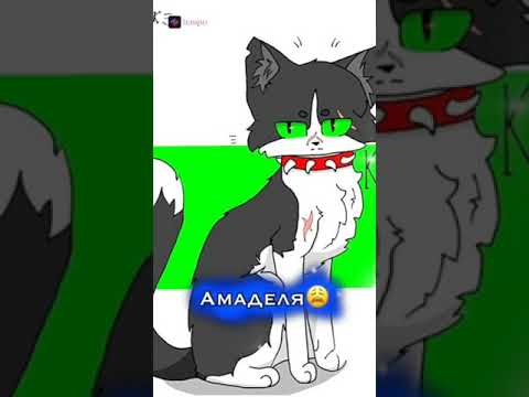 Эдит Костяк)