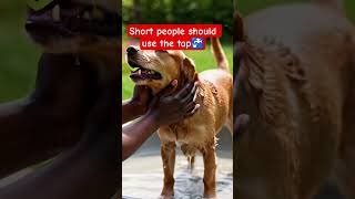 Brother Just Discovered