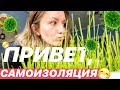 И снова здравствуйте! Поговорим про перемены? VLOG