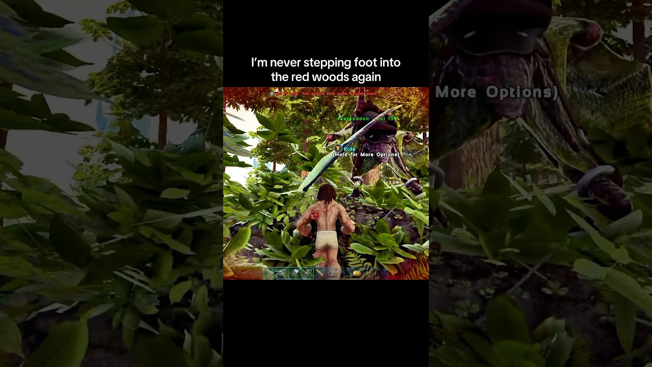 Can’t catch a break in the Ark Red Woods