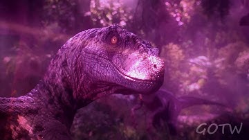 Multifandom | You can