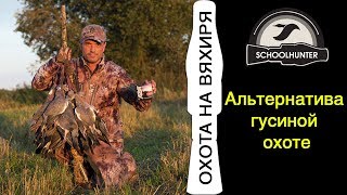 Охота на вяхиря. Альтернатива гусиной охоте