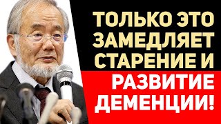 ЭТО РАБОТАЕТ НА 100%! Ёсинори Осуми об Умалчиваемом секрете Долголетия (важно знать)