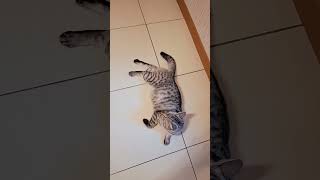 Gizemli Saklambaç Oyunu Başladı, Ancak Ebe Kim